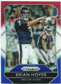 Brian Hoyer