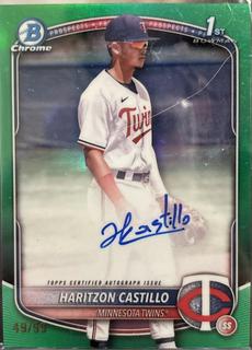 Haritzon Castillo