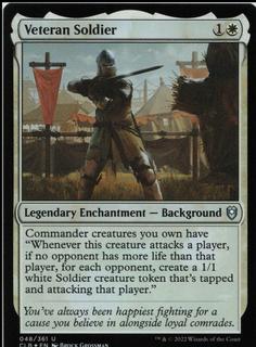 Veteran Soldier