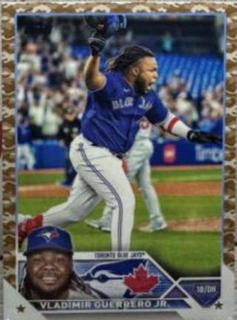 Vladimir Guerrero Jr.