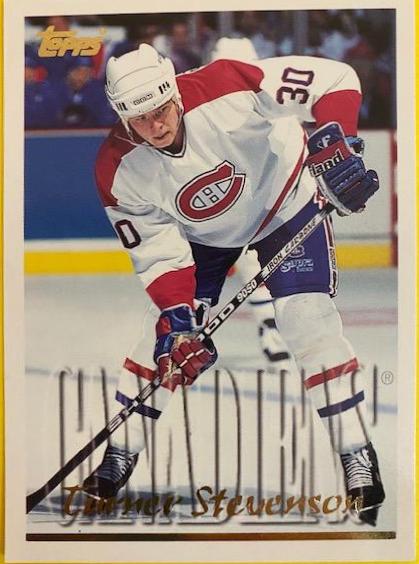 Turner Stevenson #34 Hockey Cards 1995 Topps