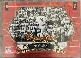 Ted Williams