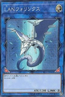 LANphorhynchus SD33-JP042