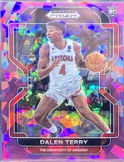 Dalen Terry