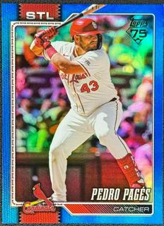 Pedro Pages