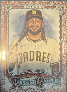 Fernando Tatis Jr.