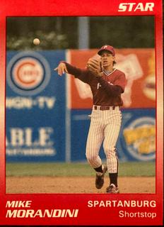 Mike Morandini