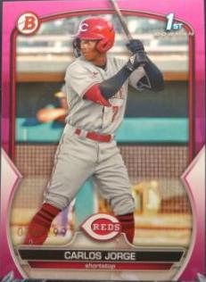 Carlos Jorge [Fuchsia] #BP-120