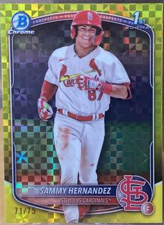 Sammy Hernandez
