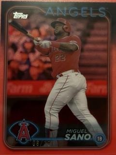 Miguel Sano