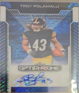 Troy Polamalu