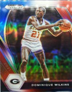 Dominique Wilkins