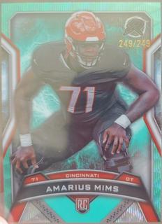 Amarius Mims