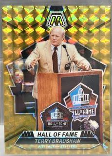 Terry Bradshaw