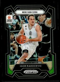 Igor Rakocevic