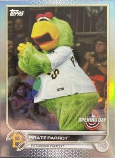 Pirate Parrot