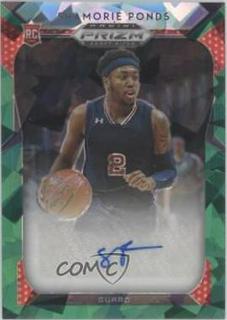 Shamorie Ponds