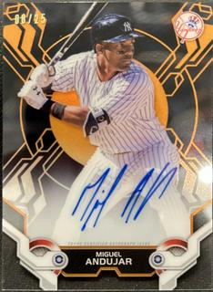 Miguel Andujar