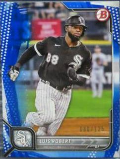 Luis Robert