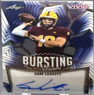 Sam Leavitt