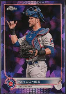 Yan Gomes