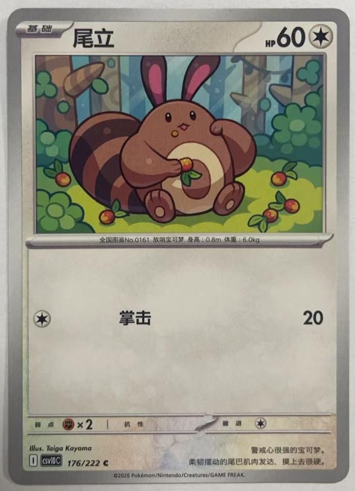 Sentret #176 Pokémon Card from Pokemon Chinese CSV10C Set 