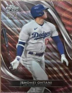 Shohei Ohtani