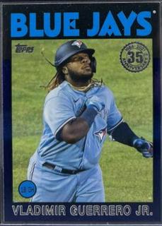 Vladimir Guerrero Jr.