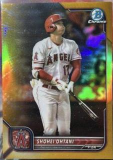 Shohei Ohtani