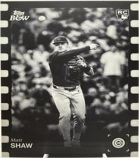 Matt Shaw
