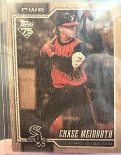 Chase Meidroth