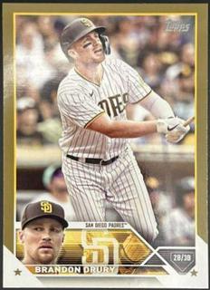 Brandon Drury