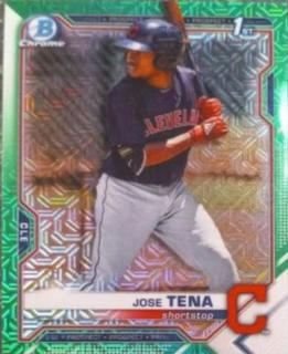 Jose Tena