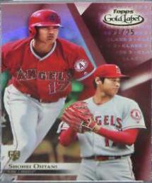 Shohei Ohtani