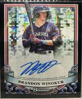 Brandon Winokur