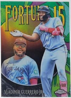 Vladimir Guerrero Jr.