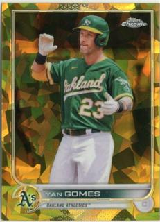 Yan Gomes