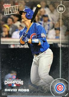 David Ross