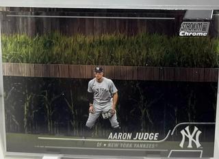 Aaron Judge