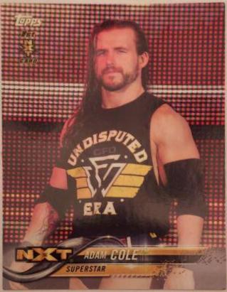Adam Cole #1 Wrestling Cards 2018 Topps WWE