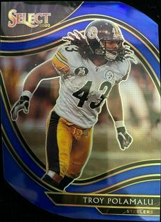 Troy Polamalu