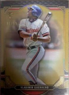 Vladimir Guerrero