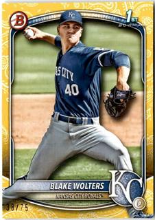 Blake Wolters