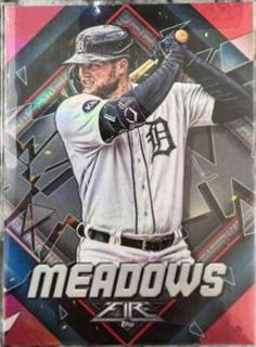 Austin Meadows