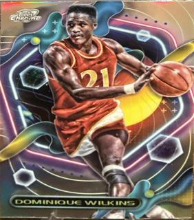 Dominique Wilkins
