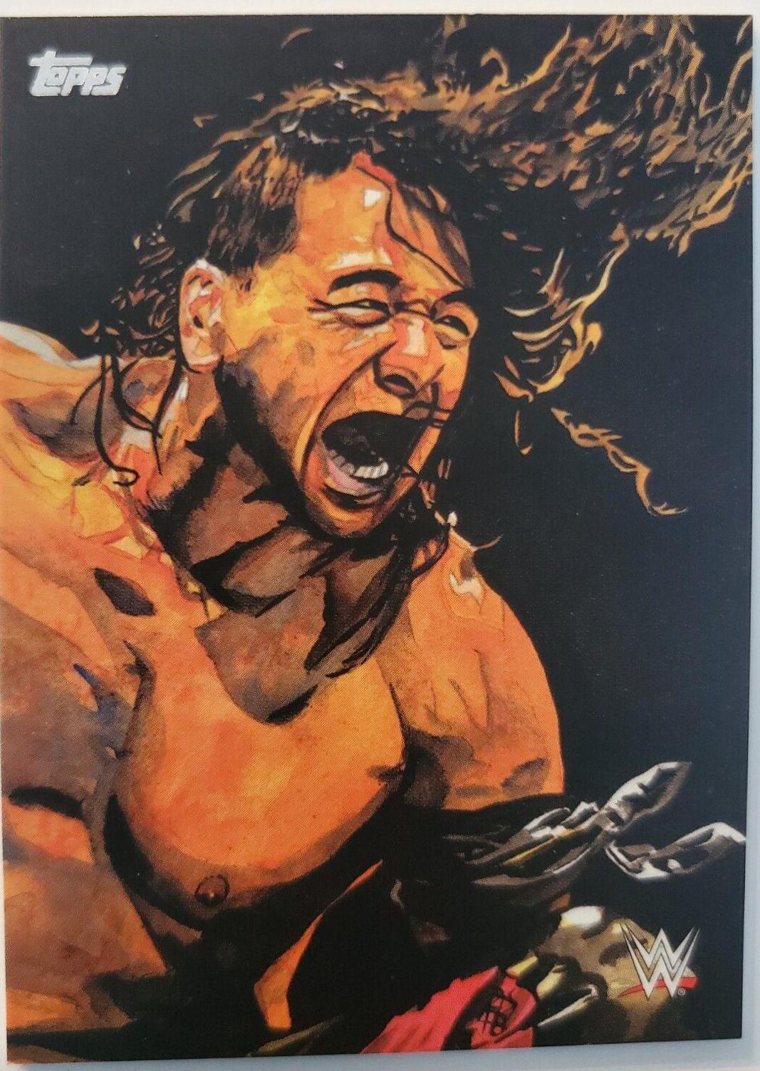 Shinsuke Nakamura #RS-6 Wrestling Cards 2019 Topps WWE Undisputed Rob Schamberger Portraits