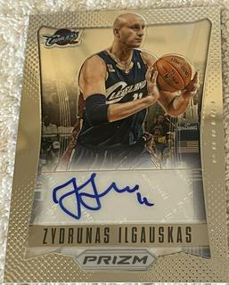 Zydrunas Ilgauskas