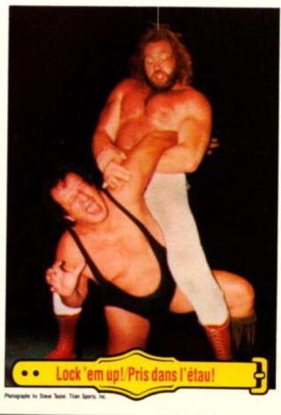 Lock 'Em Up #23 Wrestling Cards 1985 O Pee Chee WWF