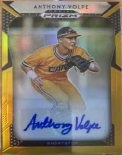 Anthony Volpe
