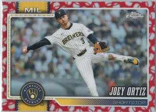 Joey Ortiz